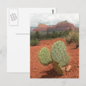 Vijgcactus in Sedona, Arizona - Briefkaart (Voorkant / Achterkant)