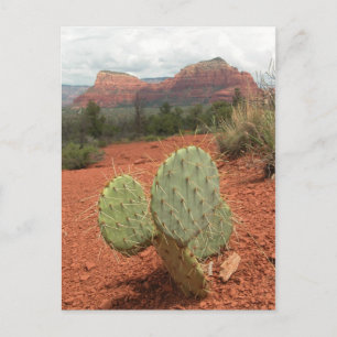 Vijgcactus in Sedona, Arizona - Briefkaart