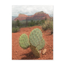 Vijgcactus in Sedona, Arizona - Briefkaart
