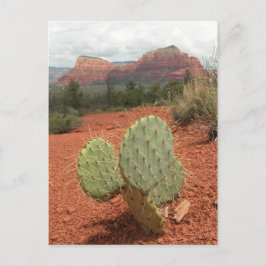 Vijgcactus in Sedona, Arizona - Briefkaart