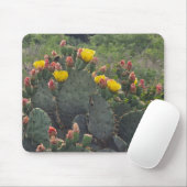 Vijgcactus Muismat (Met muis)