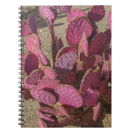 Vijgcactus Notitieboek (Voorkant)