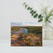 Vijgcactus (Opuntia Sp.) Briefkaart (Staand voorkant)