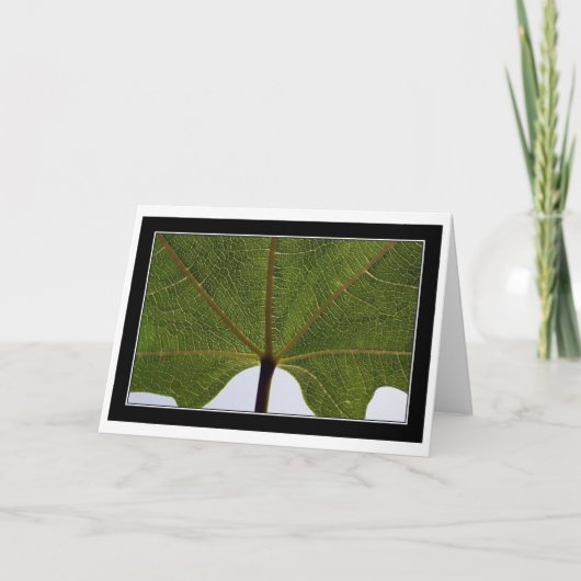 "Vijgeblad " Kaart (Voorkant)