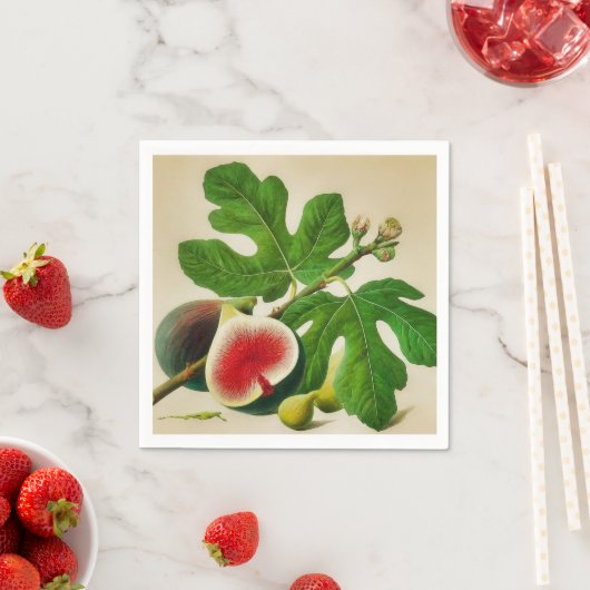  vijgen servet (Insitu)