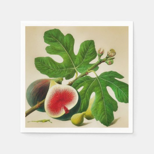  vijgen servet (Voorkant)