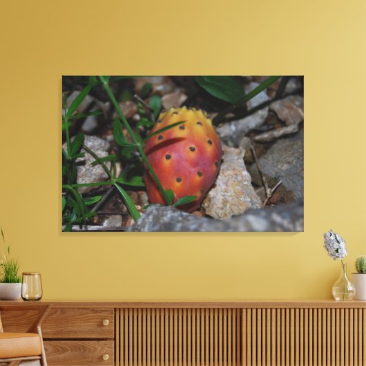 vijgencactus op stenen canvas print (Insitu (Woonkamer))