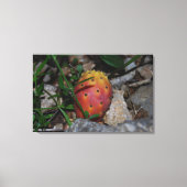 vijgencactus op stenen canvas print (Voorkant)