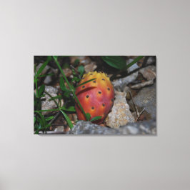 vijgencactus op stenen canvas print