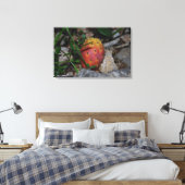 vijgencactus op stenen canvas print (Insitu (Slaapkamer))