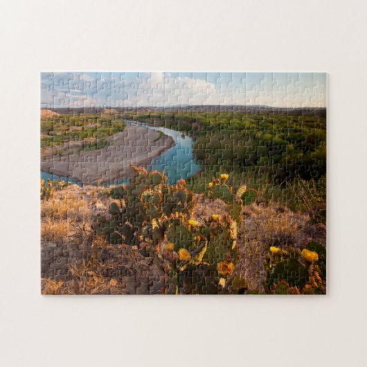 Vijgencactus (Opuntia Sp.) Legpuzzel (Horizontaal)