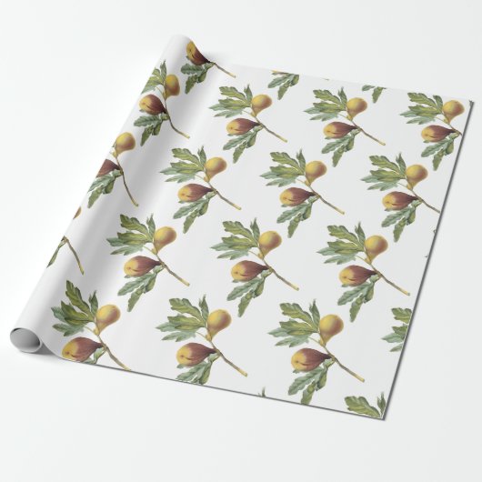 Vijgenpatroon Cadeaupapier (Uitgerold)