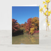 Vijver & Bomen/Vrolijke Herfst Kaart (Gele Bloem)