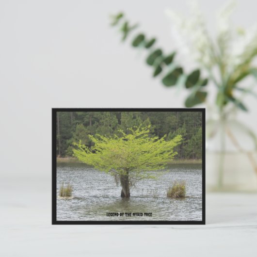 Vijver Cypress Legend Briefkaart (Staand voorkant)