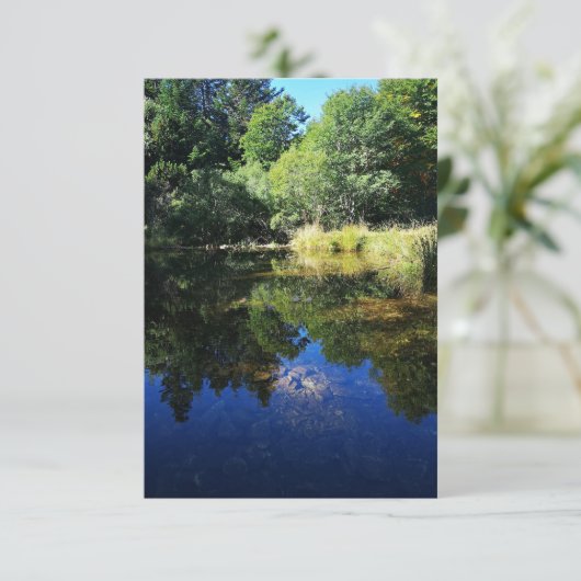 vijver in het bos kaart (Staand voorkant)