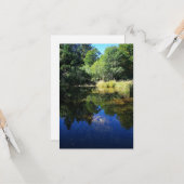 vijver in het bos kaart (Voorkant / Achterkant in situ)