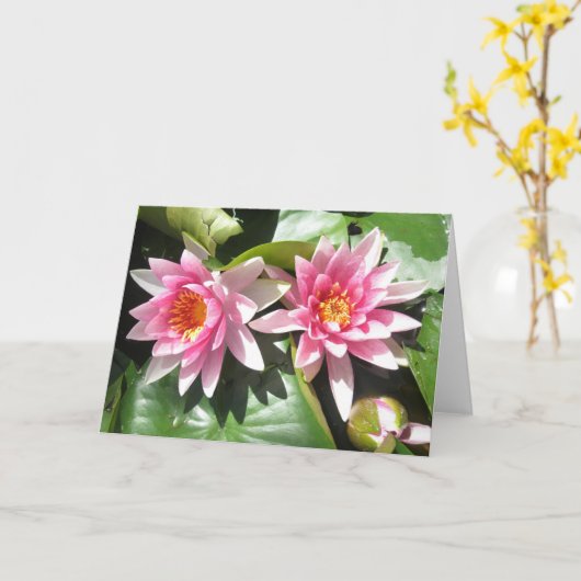 Vijver Lillies Notecard Kaart (Gele Bloem)