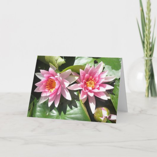 Vijver Lillies Notecard Kaart (Voorkant)