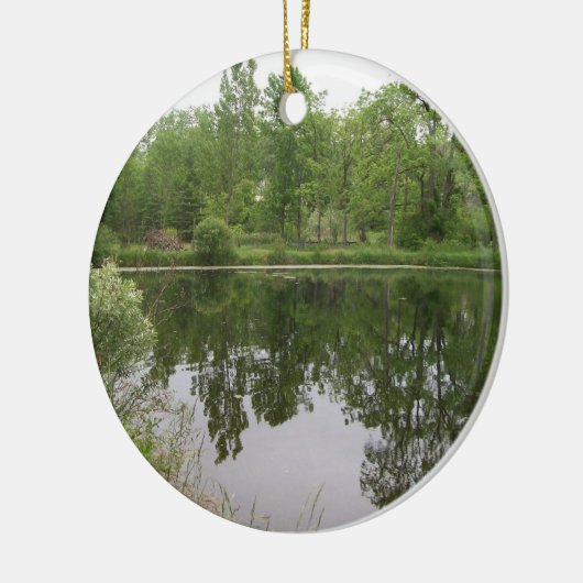 Vijver Ornament (Links)