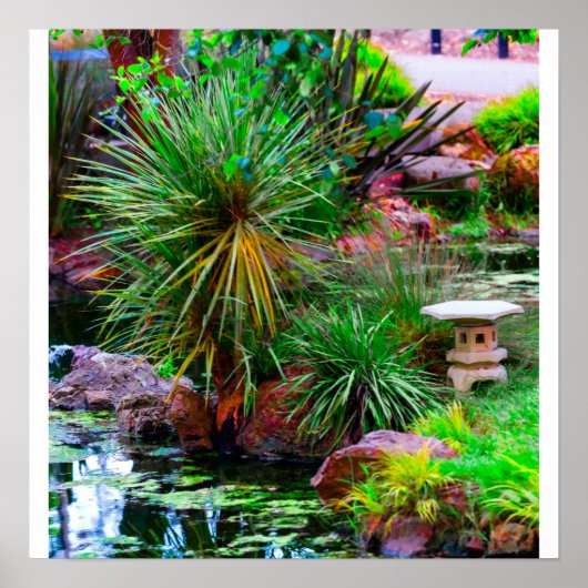 Vijver Tuin Poster (Voorkant)