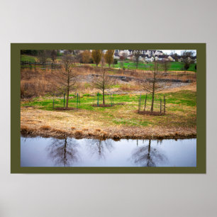 Vijver waterschap reflecties foto poster