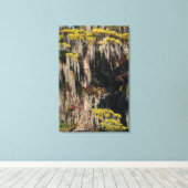 Vijvercipres in overstroomd moeras canvas afdruk (Insitu (Houten vloer))