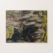 Vijvercipres in overstroomd moeras legpuzzel (Horizontaal)