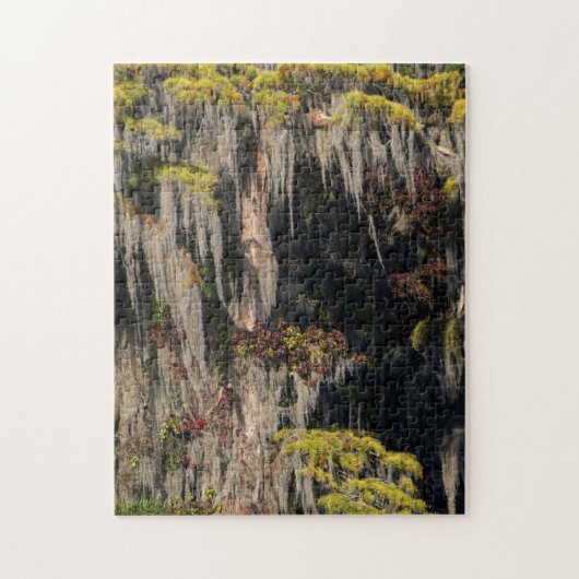 Vijvercipres in overstroomd moeras legpuzzel (Verticaal)