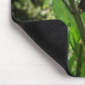 vijverdraak muismat (Hoek)