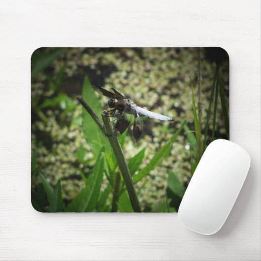 vijverdraak muismat (Met muis)