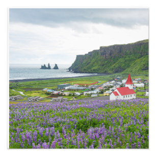 VIK, IJSLAND FOTO AFDRUK