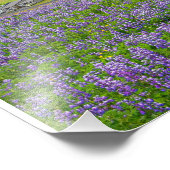 VIK, IJSLAND FOTO AFDRUK (Hoek)