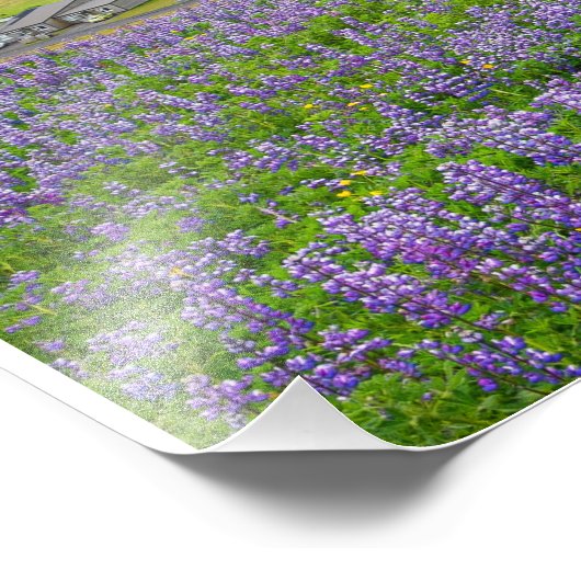 VIK, IJSLAND FOTO AFDRUK (Hoek)