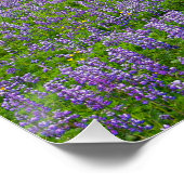 VIK, IJSLAND POSTER (Hoek)