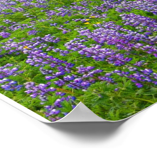 VIK, IJSLAND POSTER (Hoek)