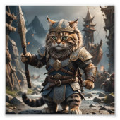 Viking Cat 1 Foto Afdruk (Voorkant)