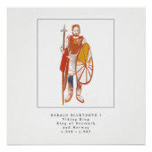 Viking King Harald Bluetooth Poster (Voorkant)