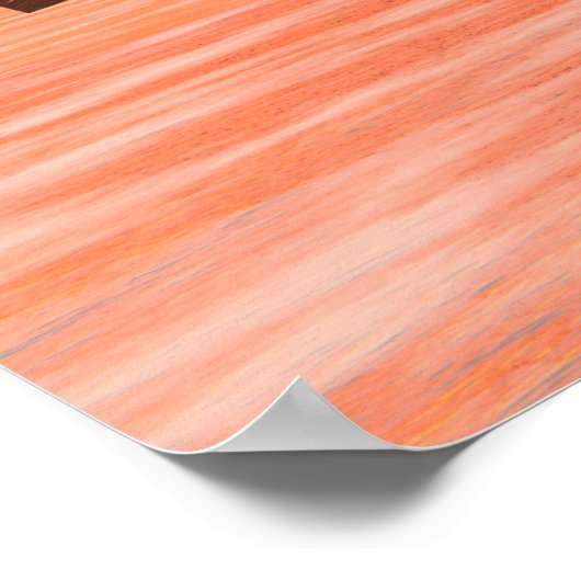 Viking Longship Ventures Poster (Hoek)