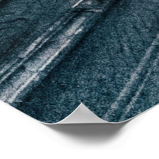 Viking Poster (Hoek)