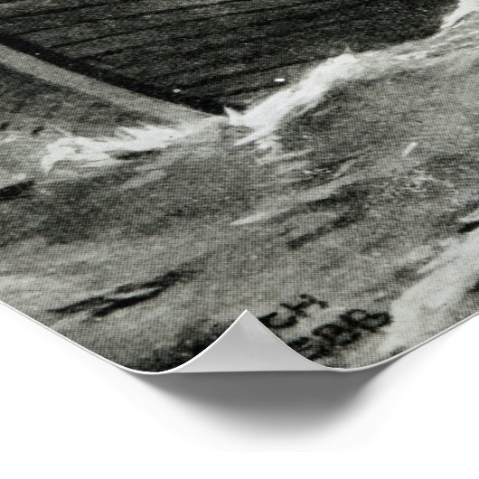 Viking Raiders Poster (Hoek)