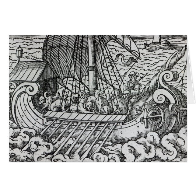 Viking Ship (Voorkant Horizontaal)