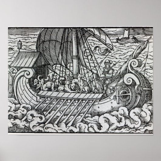 Viking Ship Poster (Voorkant)