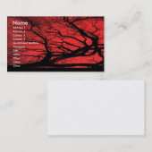 Viking Sky Visitekaartje (Voorkant / Achterkant)