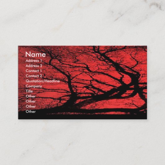 Viking Sky Visitekaartje (Voorkant)