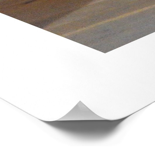 Viking troonkamer poster (Hoek)