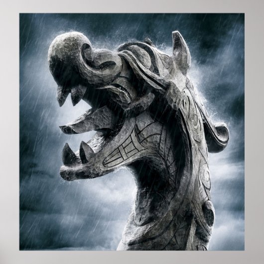 Viking Warrior Poster (Voorkant)