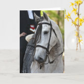 Vikingo Andalusische Hengst wenskaart blanco Kaart (Gele Bloem)