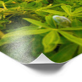 Vikurkirkja, IJsland Foto Afdruk (Hoek)