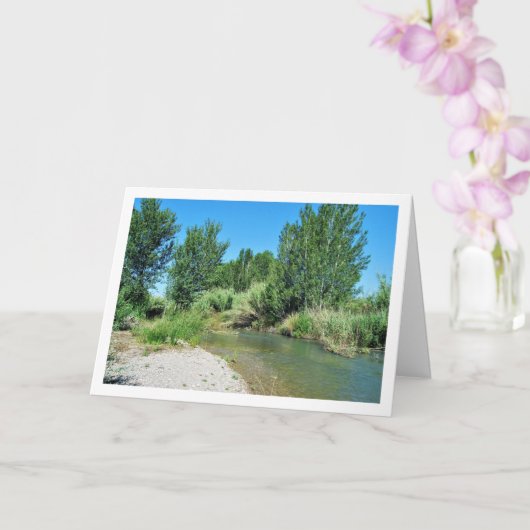 Vilamarxant, Turia rivier, Valencia, Spaans Kaart (Orchidee)