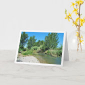 Vilamarxant, Turia rivier, Valencia, Spaans Kaart (Gele Bloem)